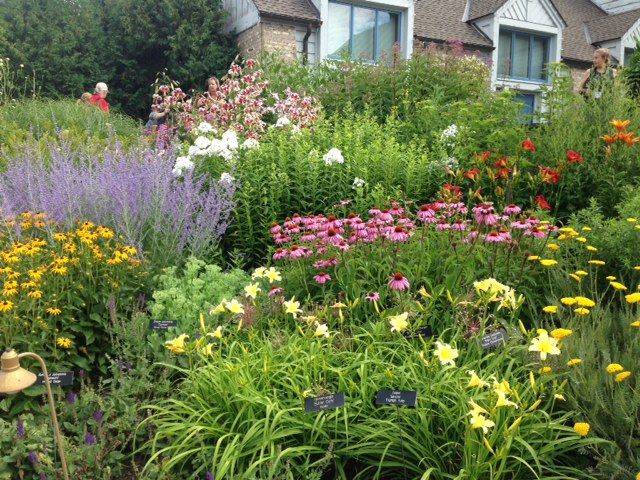 Pollinator Garden Design