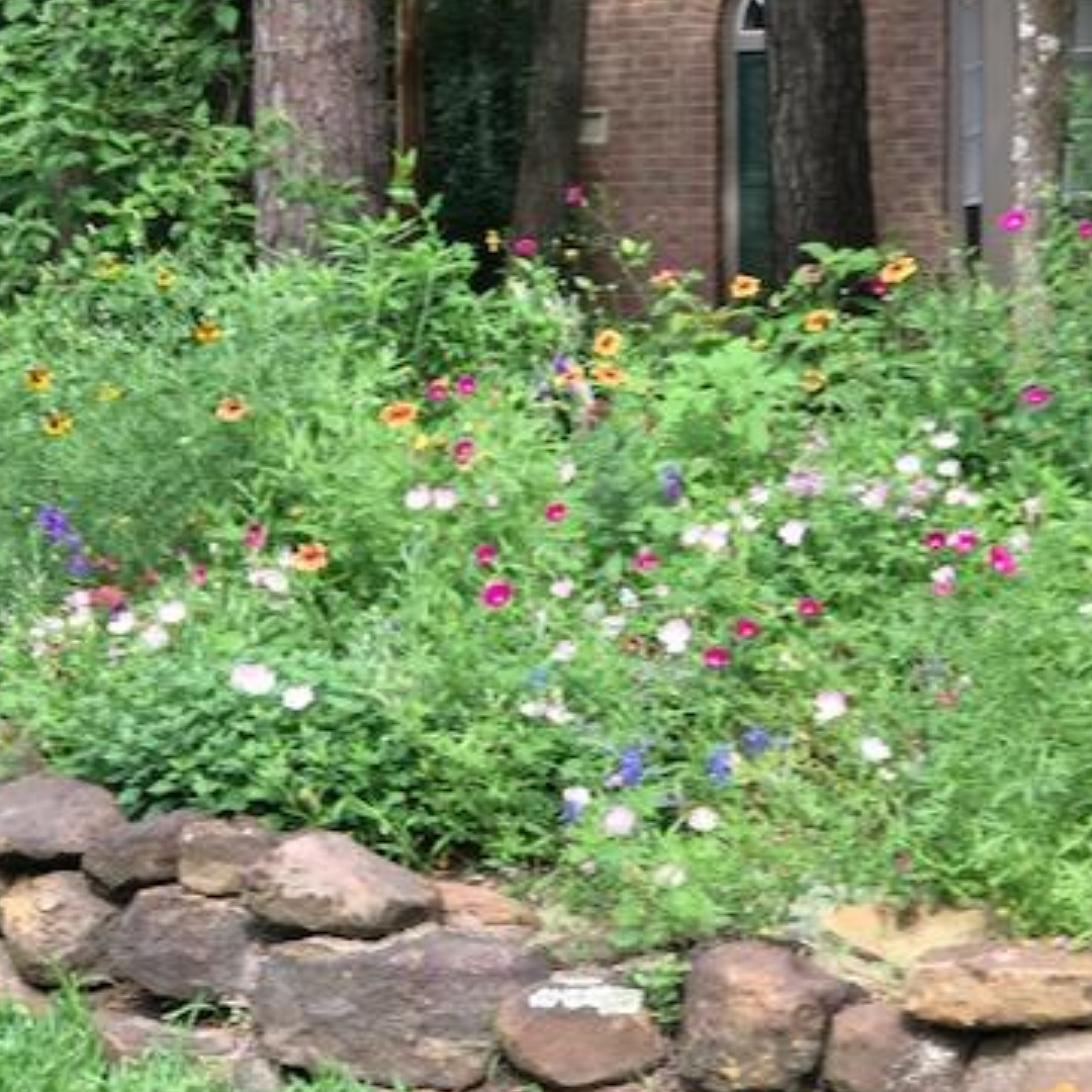 Pollinator Garden Design