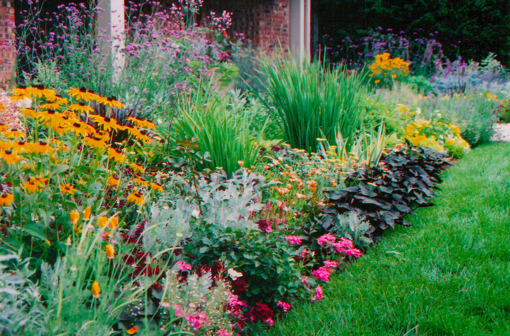 Pollinator Garden Plans