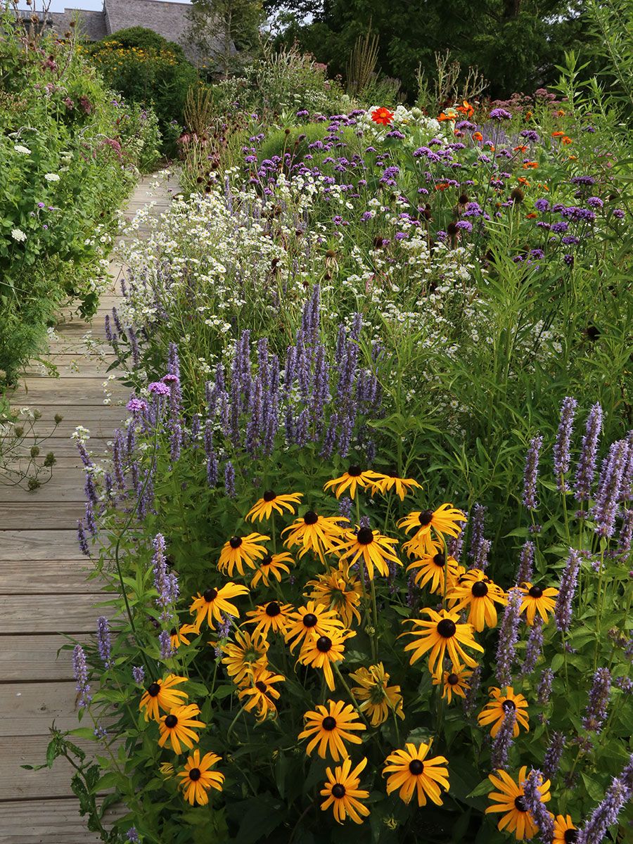A Pollinator Garden