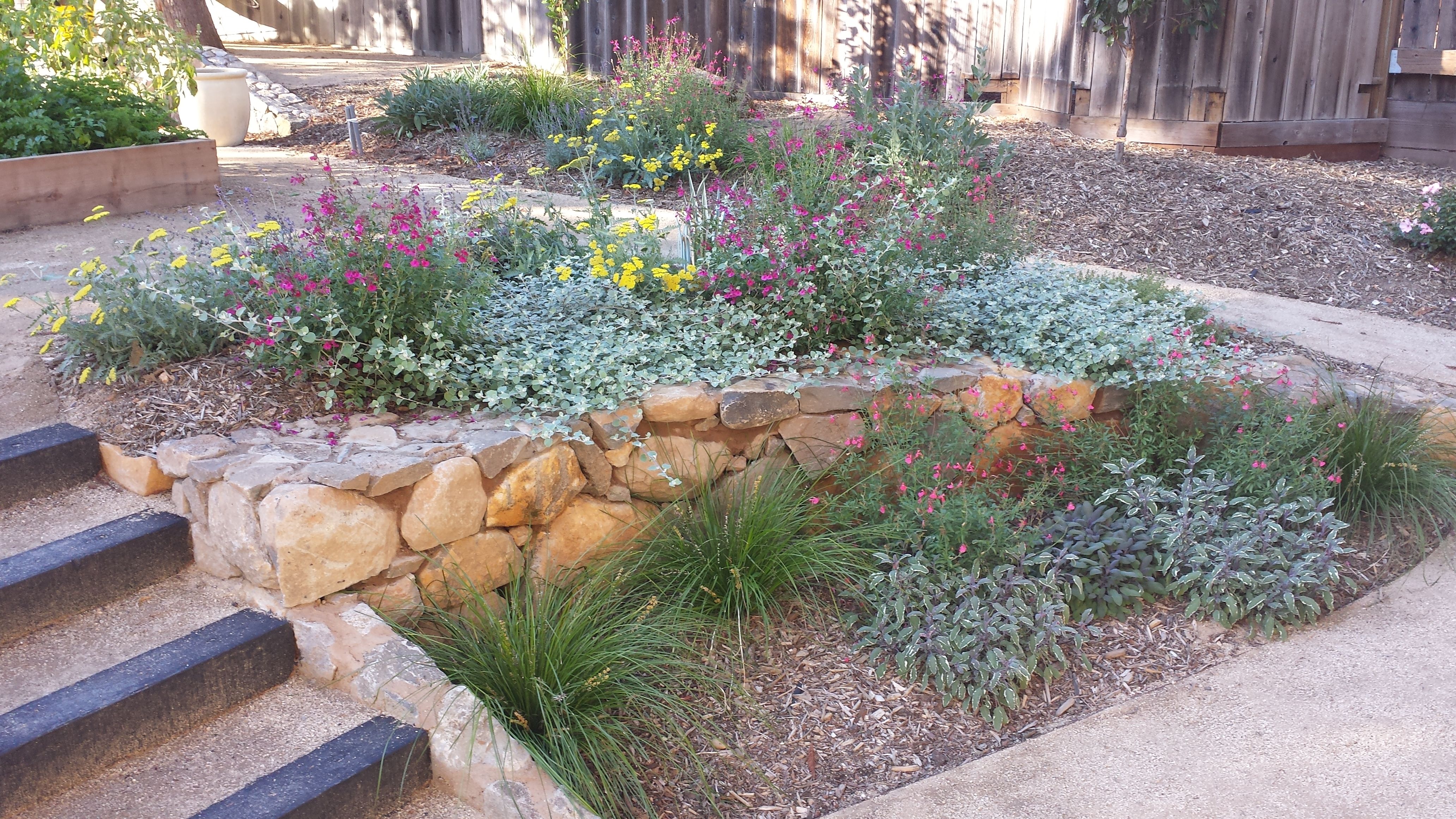 Pollinator Plantings Lewis Ginter Botanical Garden