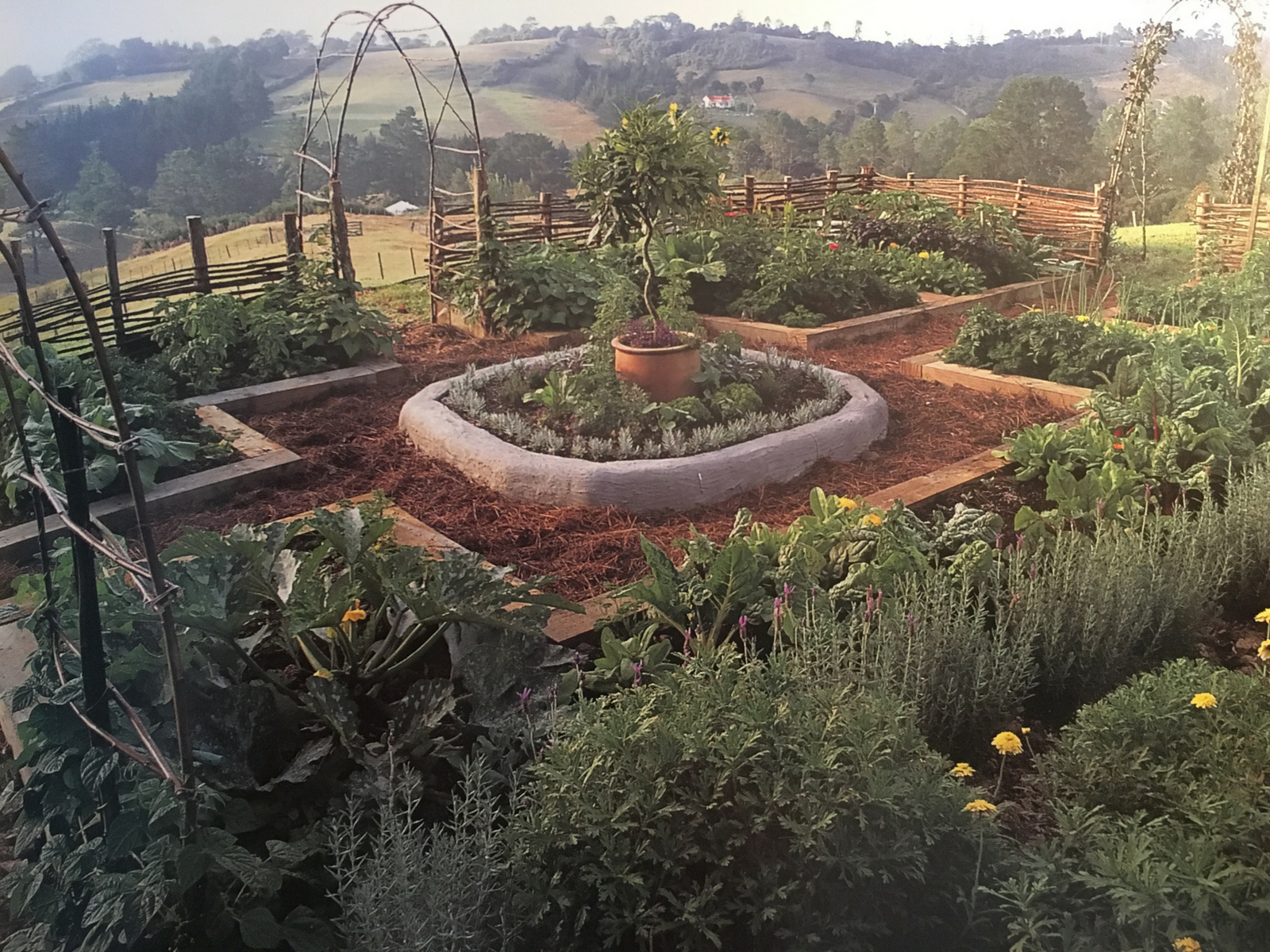 Backyard Garden Layout