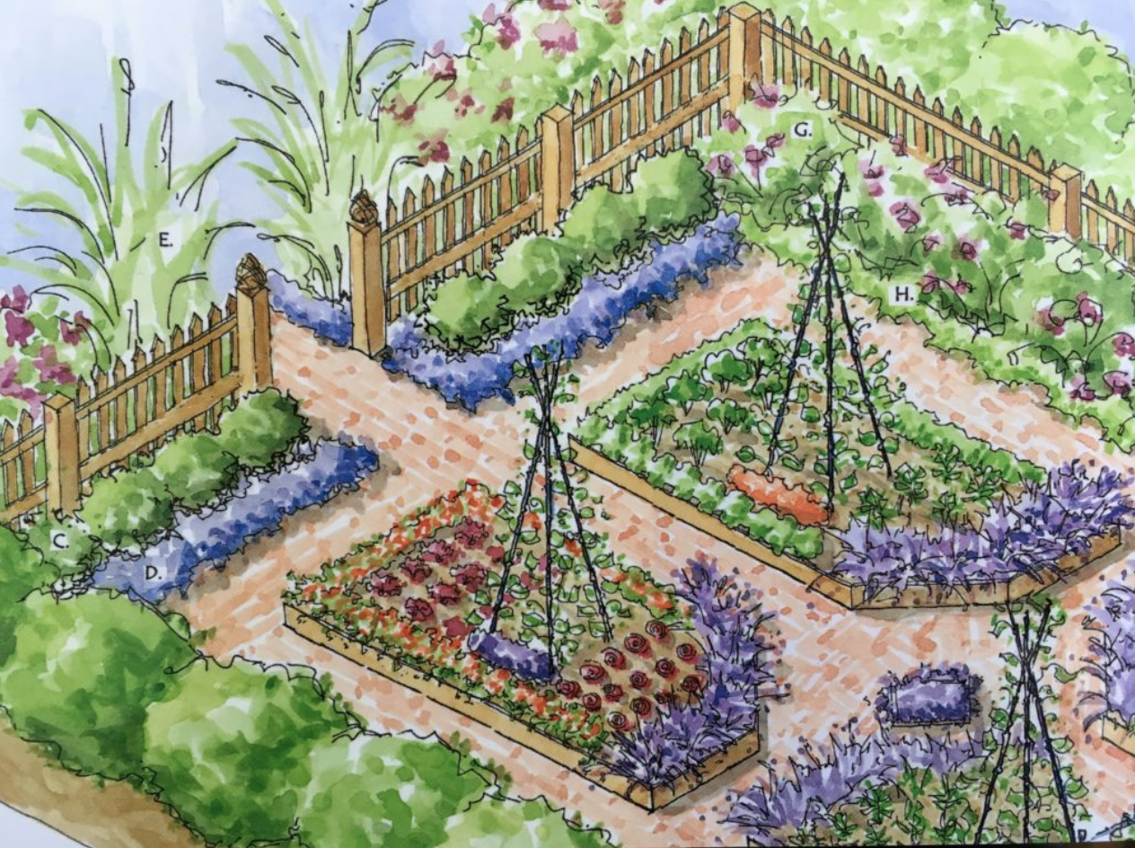Curvilinear Garden Design Plan
