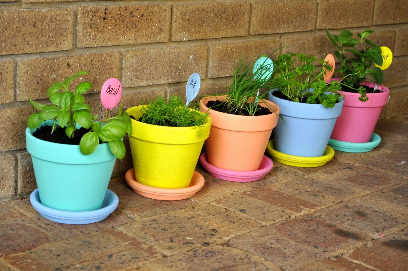 Spiral Herb Garden Ideas