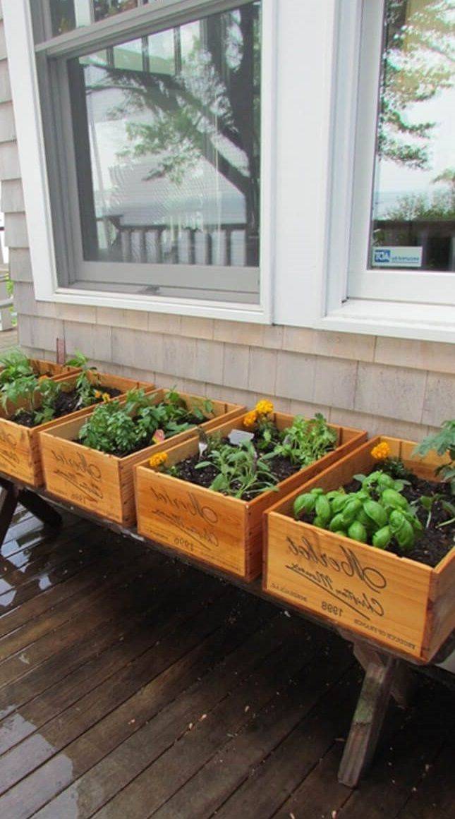 Gardening And Outdoor Tools Herb