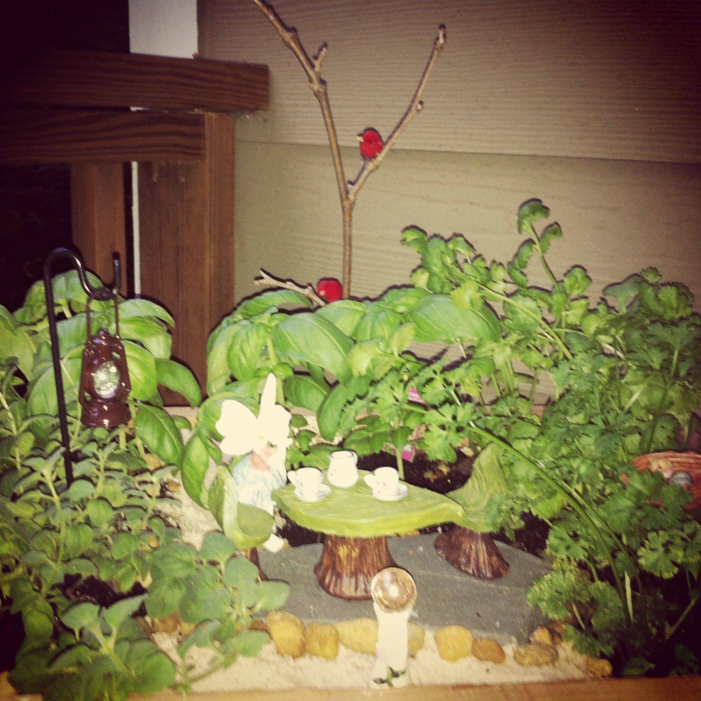Stunning Indoor Living Wall Herb Garden