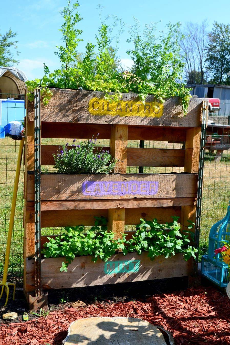 Best Herb Garden Ideas Small Space