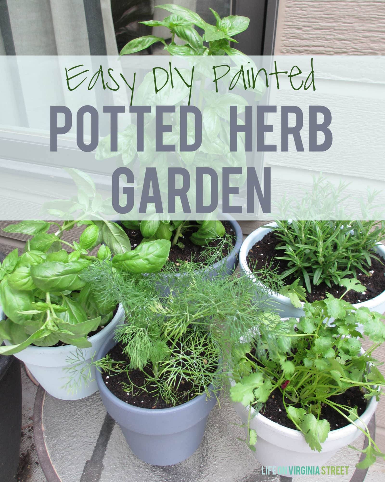 Diy Herb Wall Herb Wall