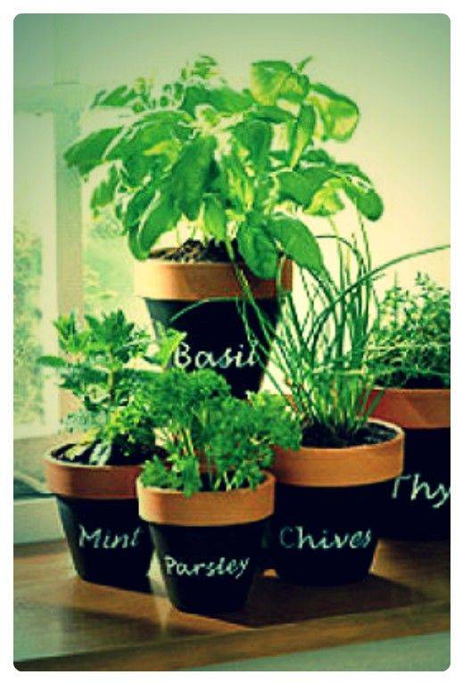 Diy Herb Wall Herb Wall