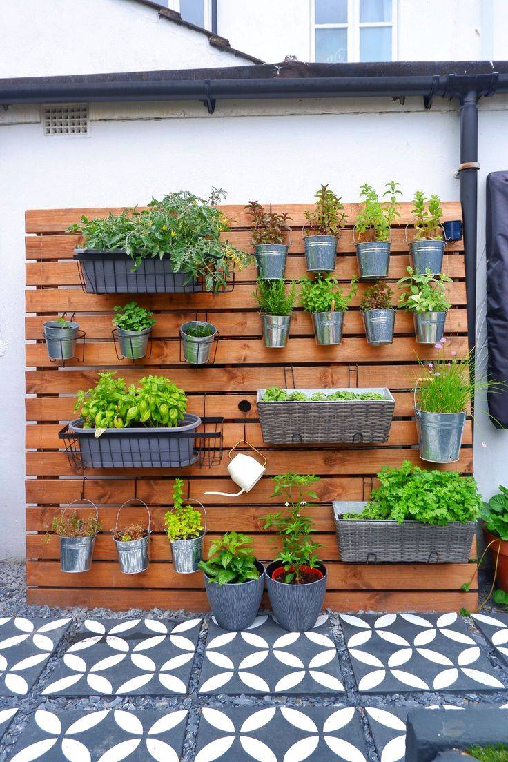 Painted Pot Herb Garden Colorfully Behr