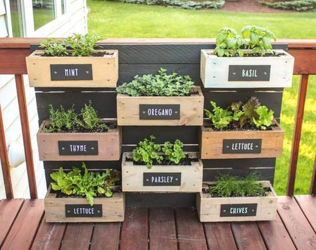 Awesome Herb Boxes Decor Ideas