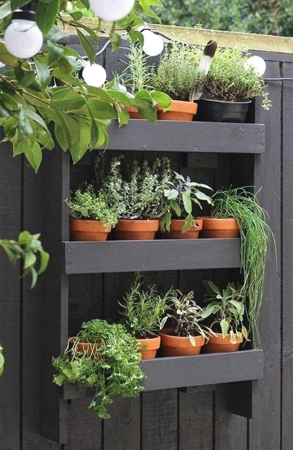 Herb Garden Indoor Design Ideas