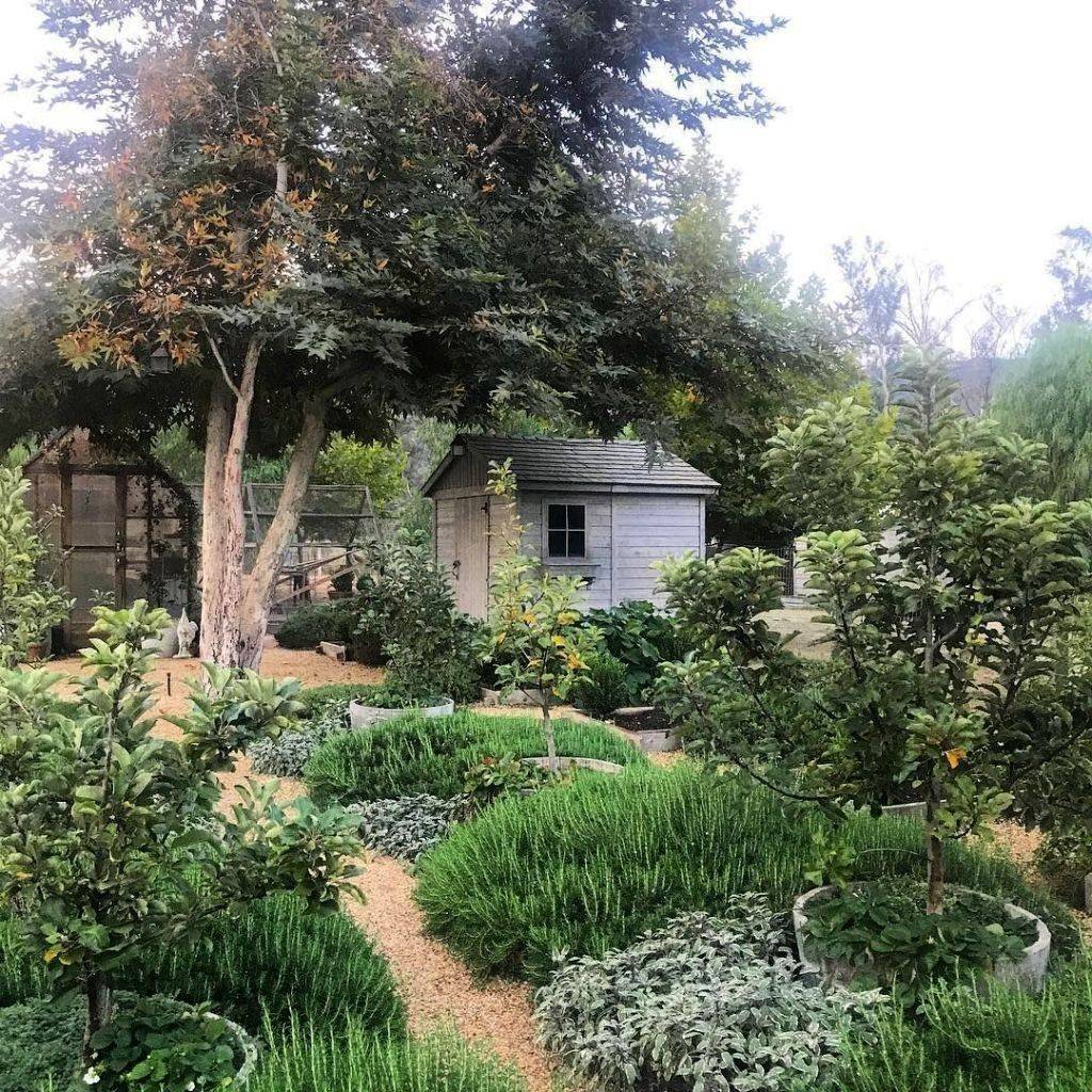 The Herb And Apothecary Garden Ideas Garden