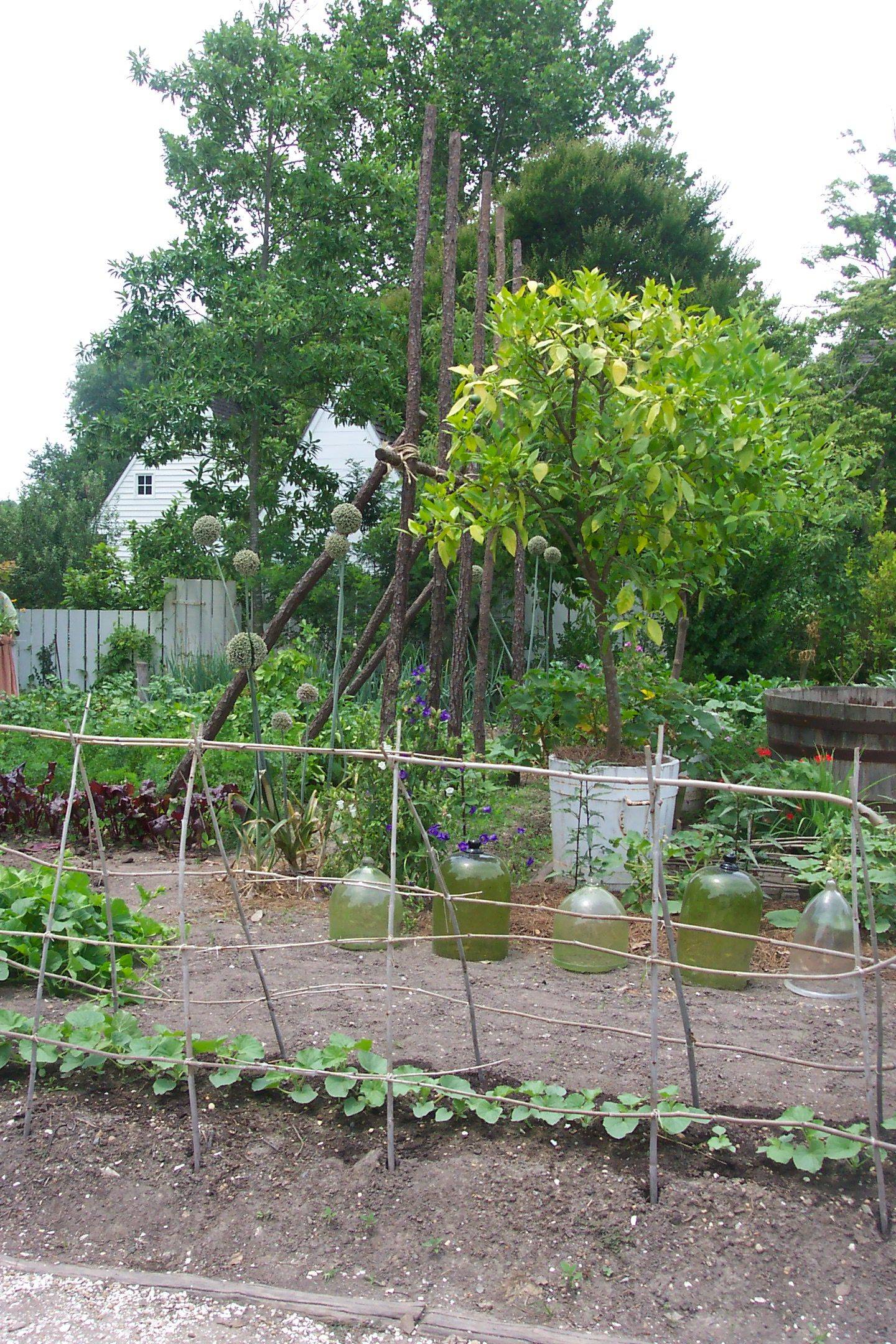 Buildings And Grounds Garden History