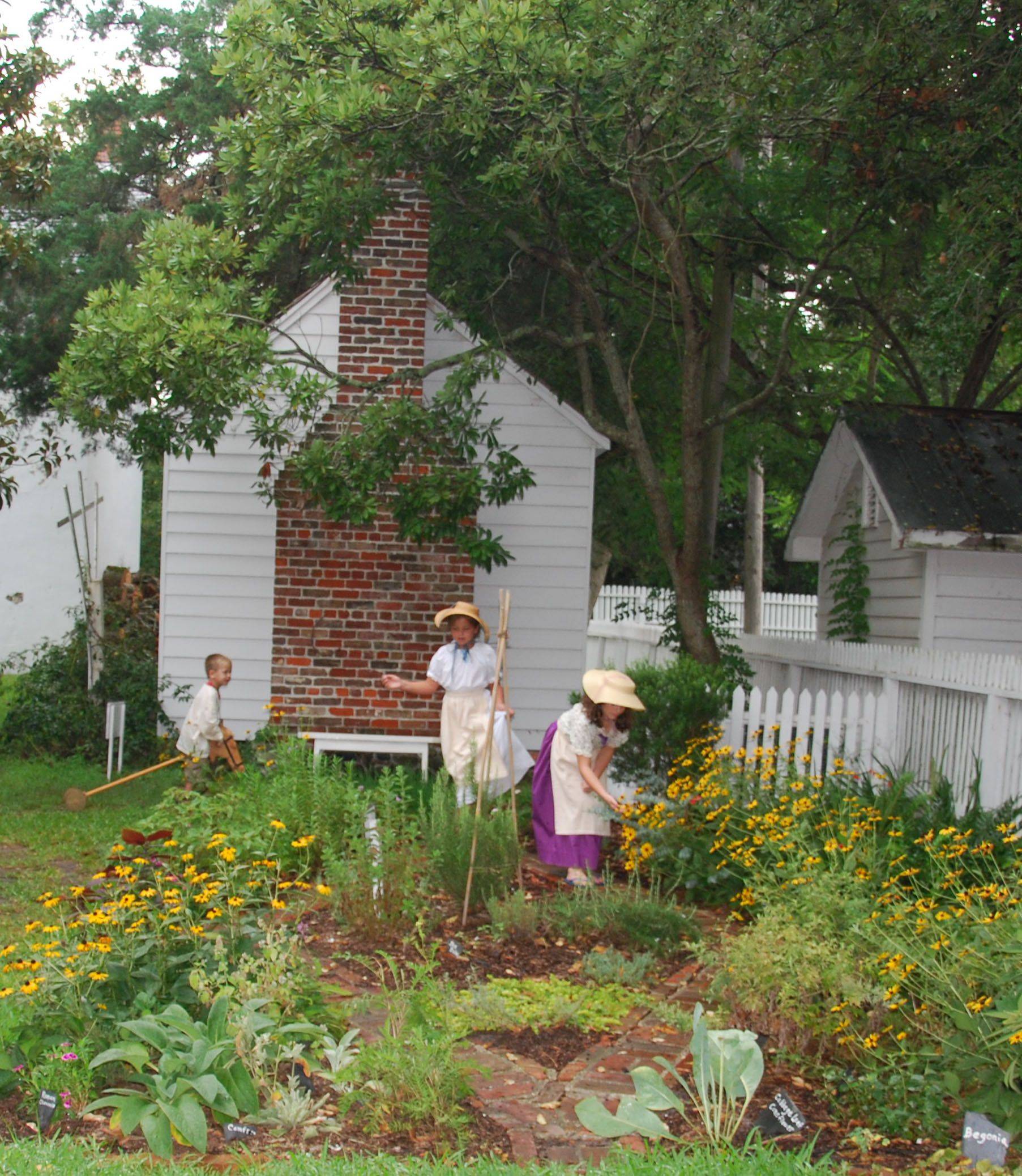 A Modern Apothecary Garden