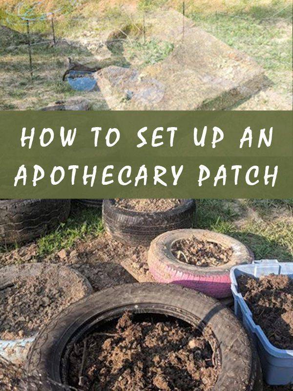 Colonial Williamsburg