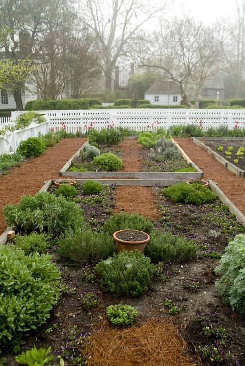 Organic Gardening Tips