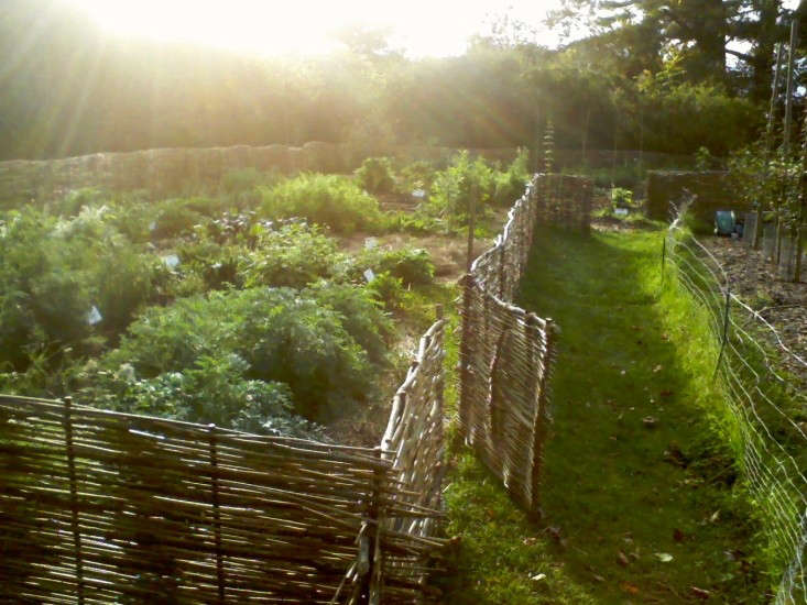 Wattle Fence Insteading Wattle Fence