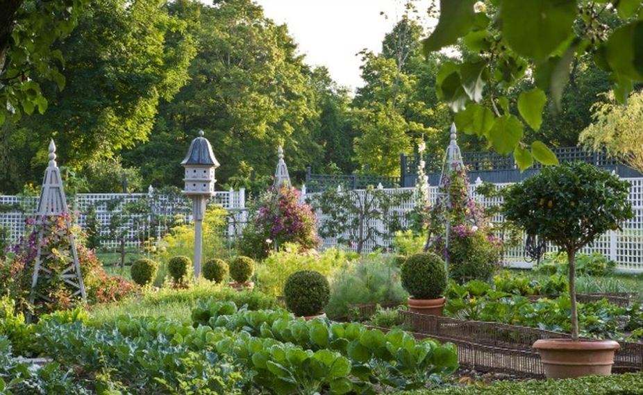 Beautiful French Cottage Garden Design Ideas