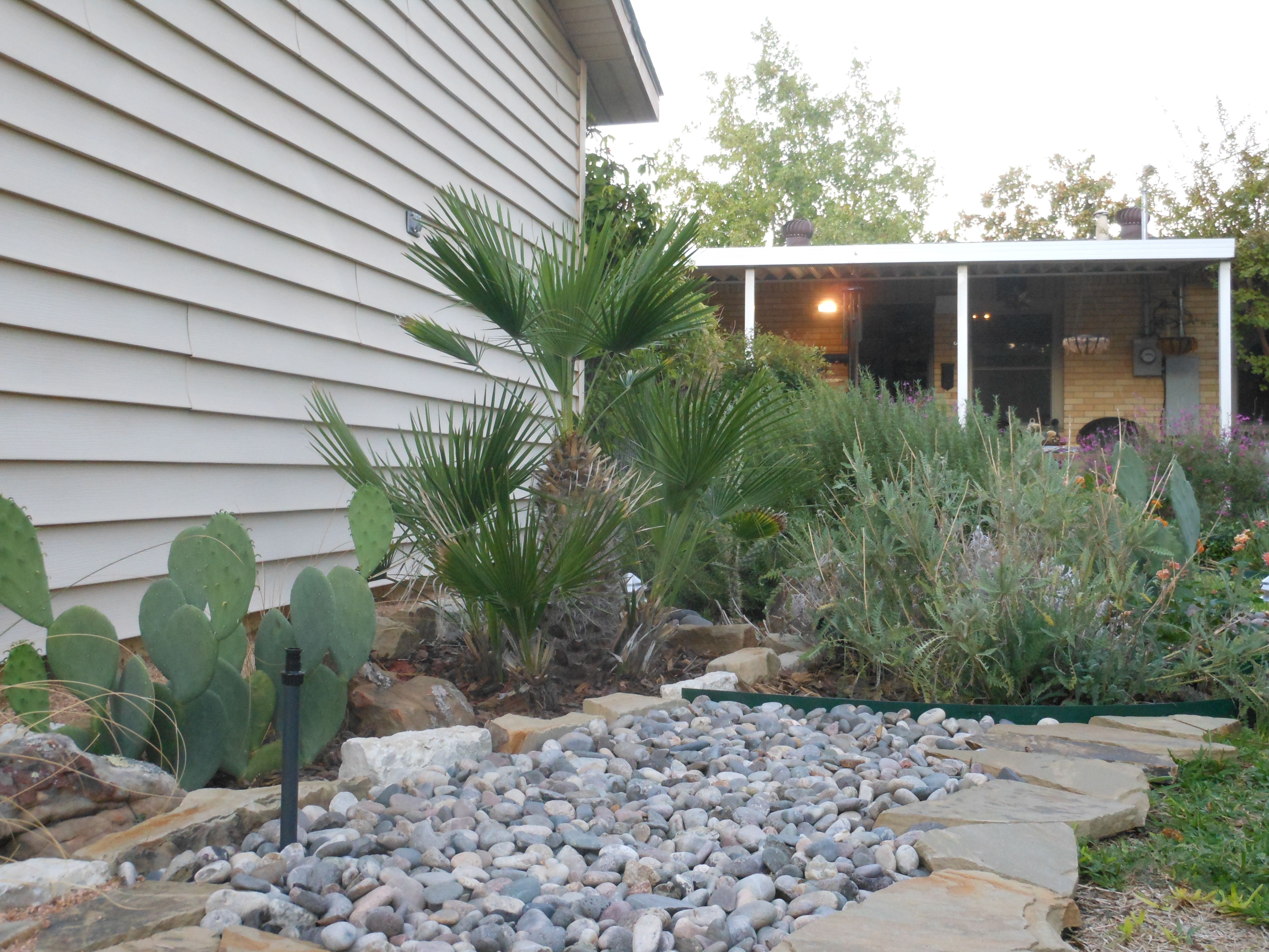 Best Rock Garden Ideas Images