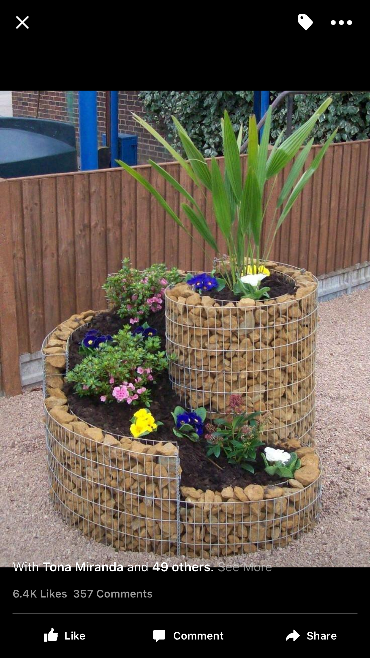 Container Gardening Garden
