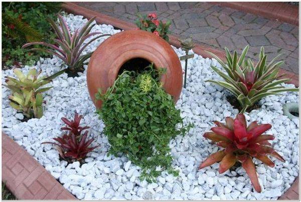 Rock Garden Ideas