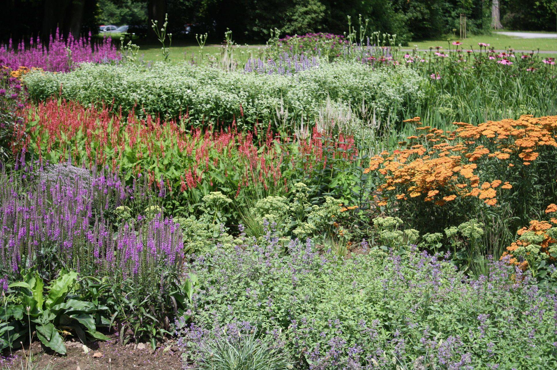Germany Urban Garden