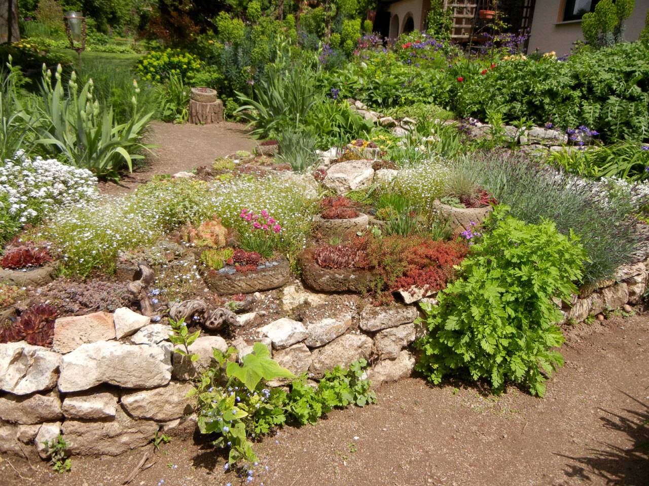Garden Design Ideas