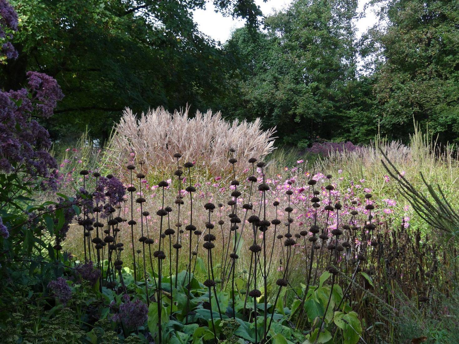 Mediterranean Style Garden