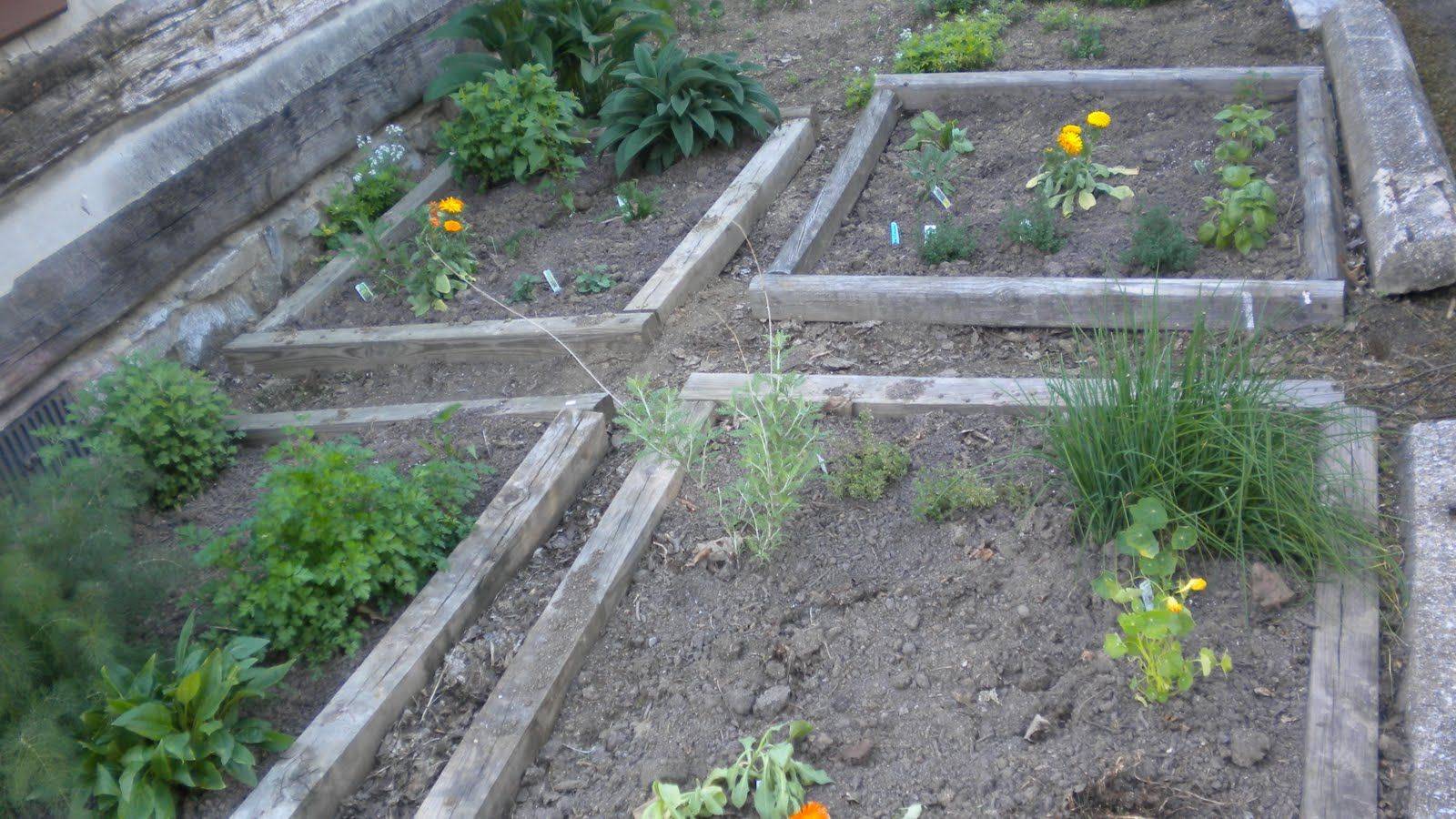 Vegetable Garden Design