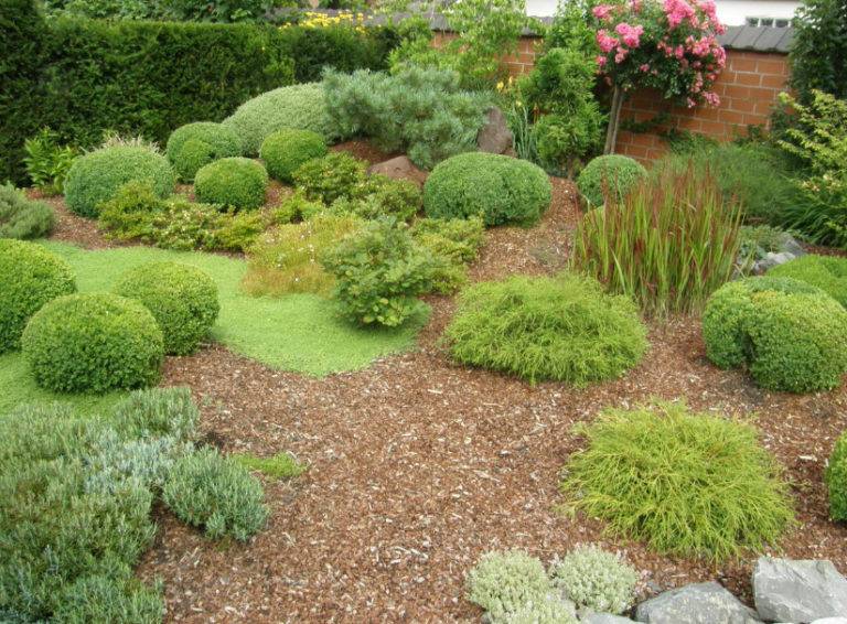 Stunning Front Garden