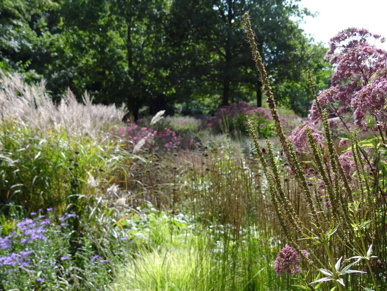 Beautiful Piet Oudolf Garden Design Ideas