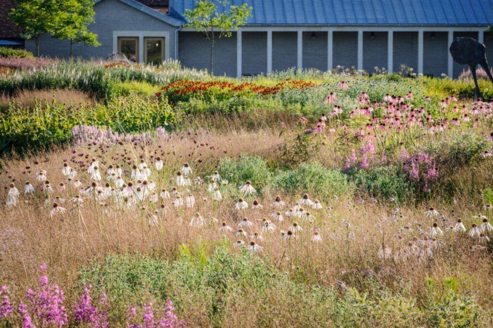 Beautiful Piet Oudolf Garden Design Ideas