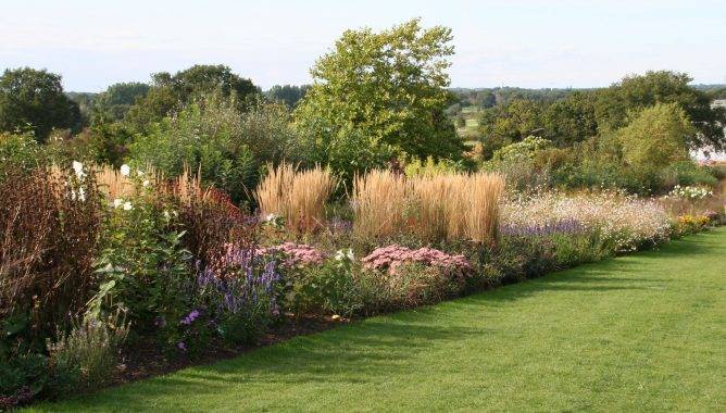 Gorgeous Piet Oudolf Garden Summer Ideas