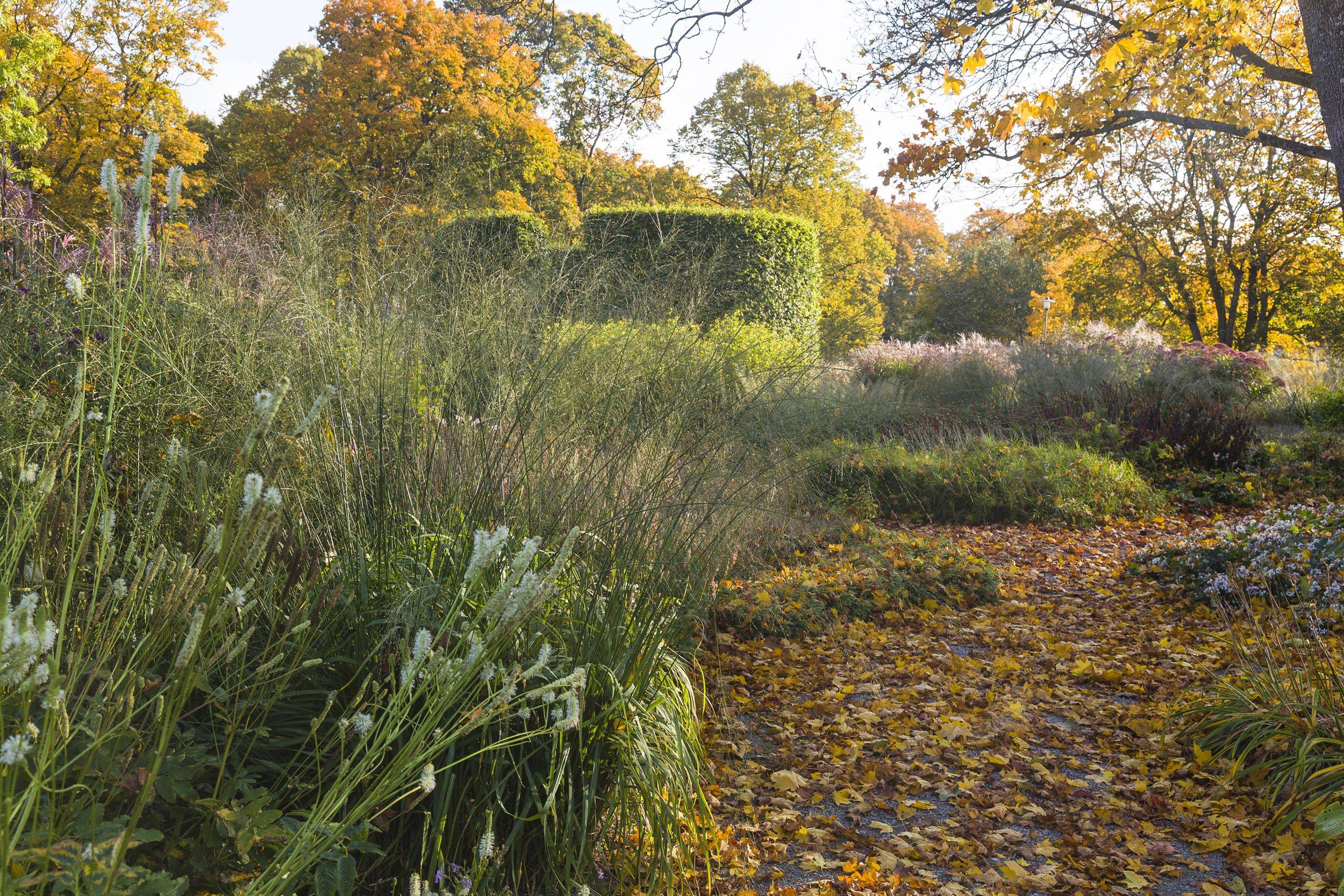 Gorgeous Piet Oudolf Garden Design Ideas
