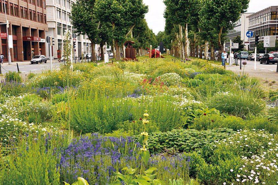 Gorgeous Piet Oudolf Garden Design Ideas