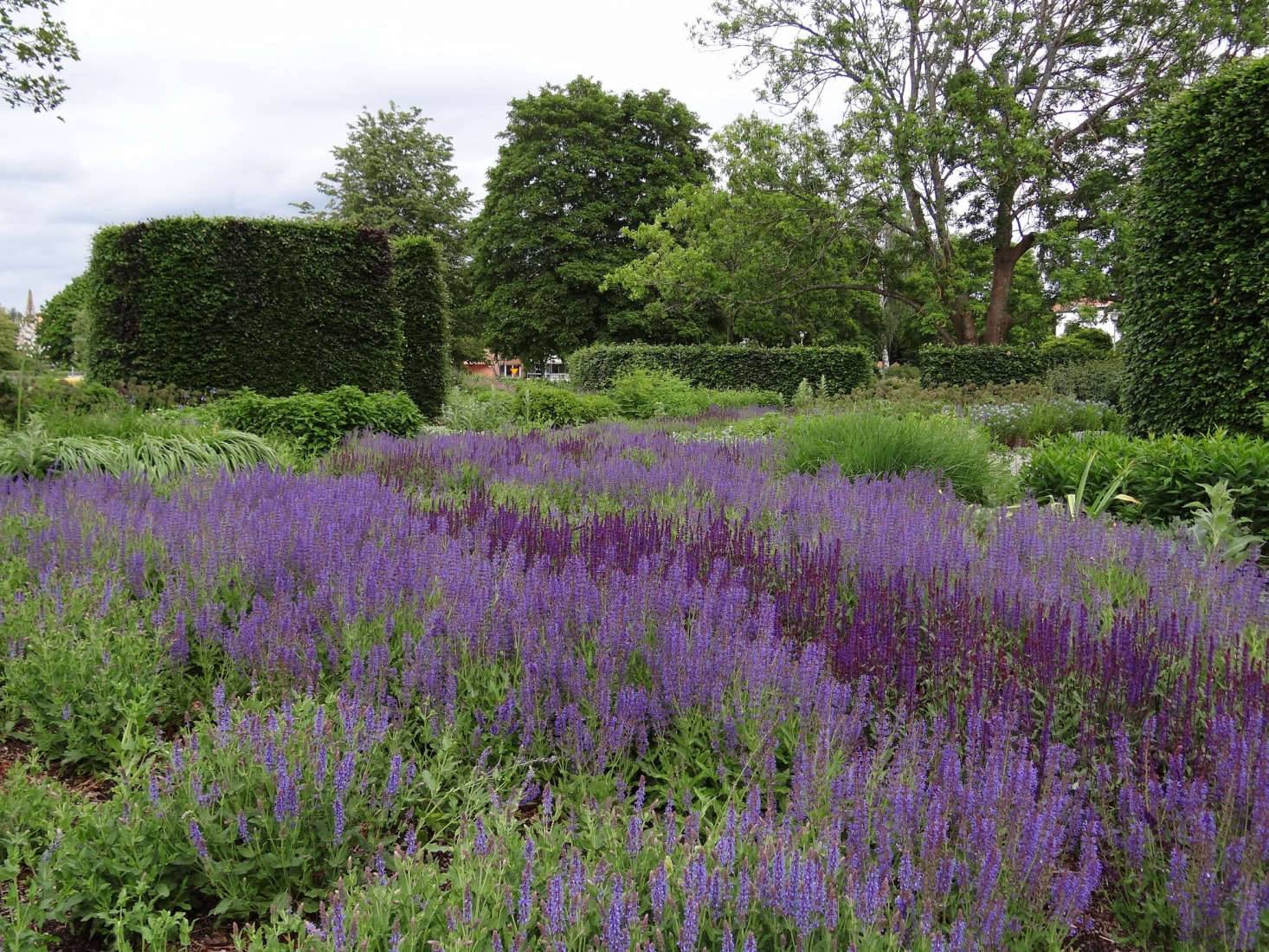 Wirth Garden