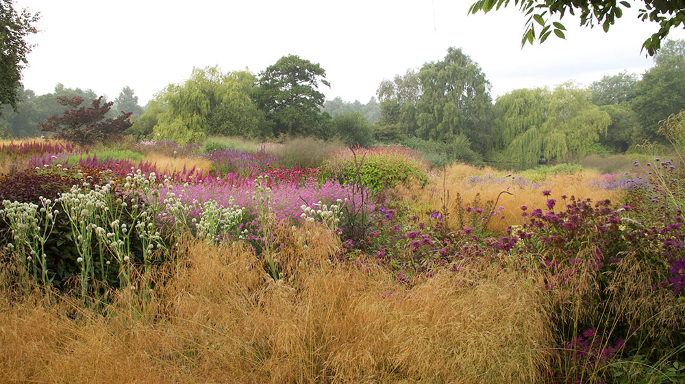 Piet Oudolf Field Summer Landscape