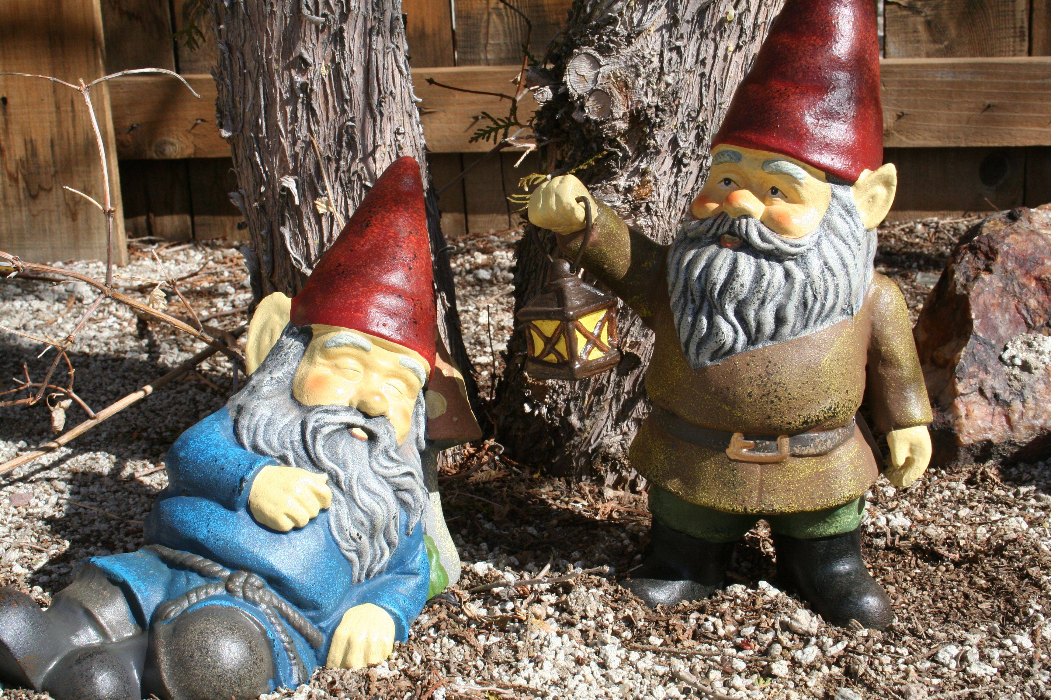 18 Original Garden Gnomes Ideas You Should Look SharonSable