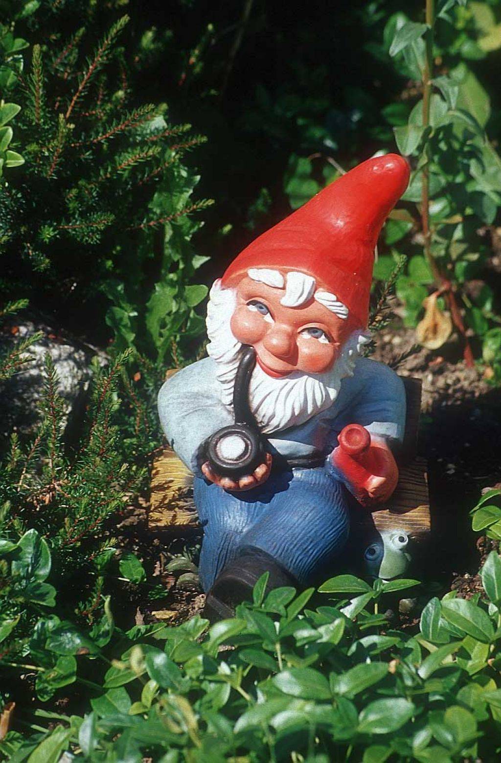 Zombie Gnomes