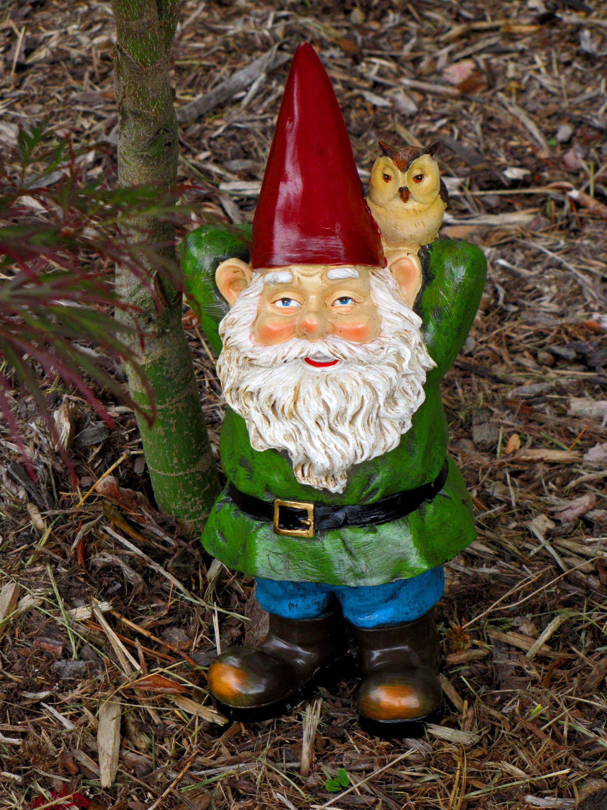 Garden Gnomes