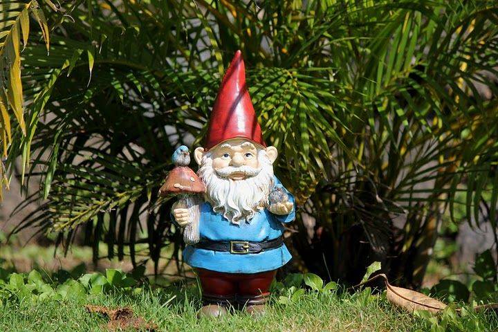 Garden Gnomes