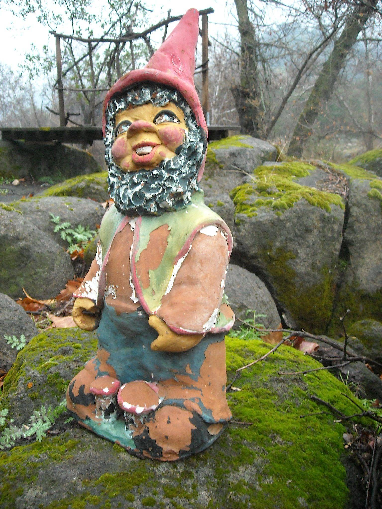 Gnomes Gnome Garden
