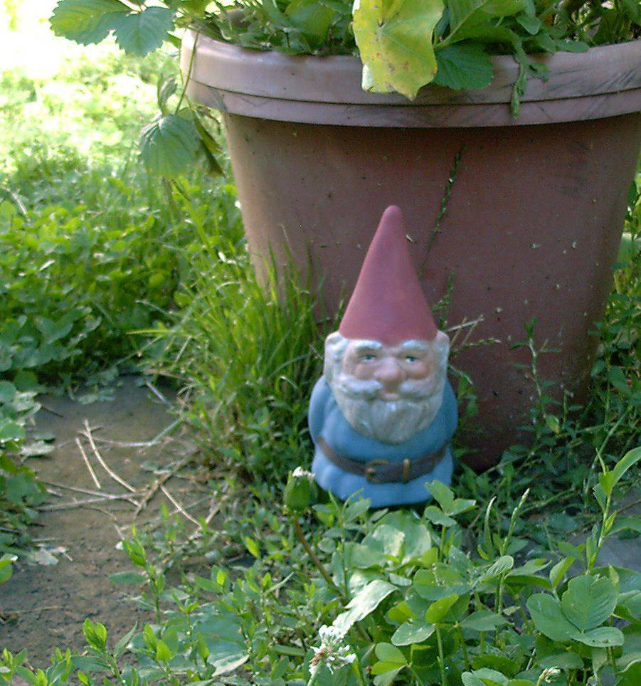 Minature English Garden Gnomes Set