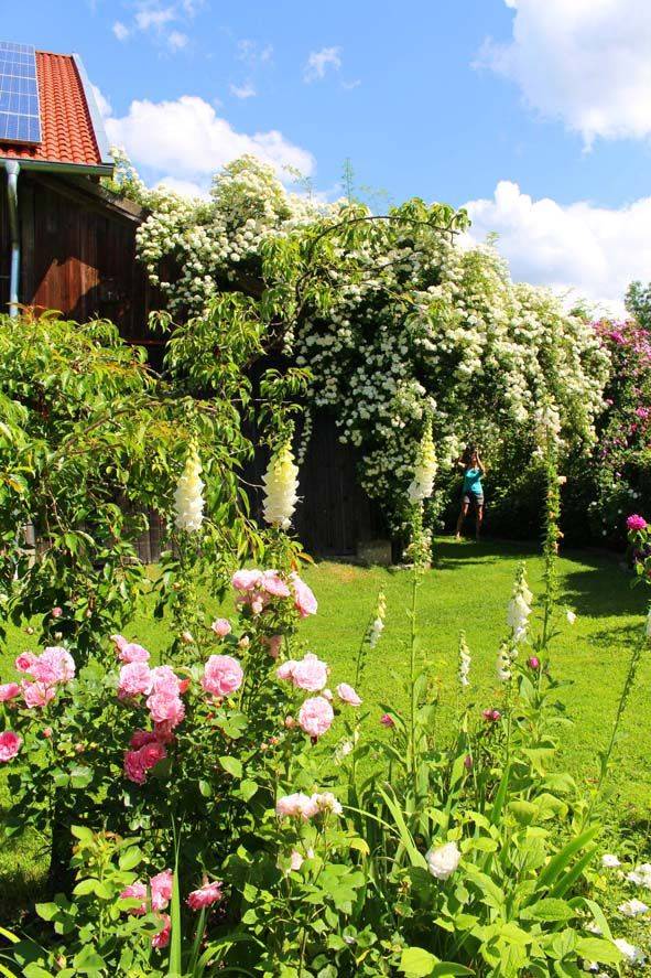 Garden Design Ideas