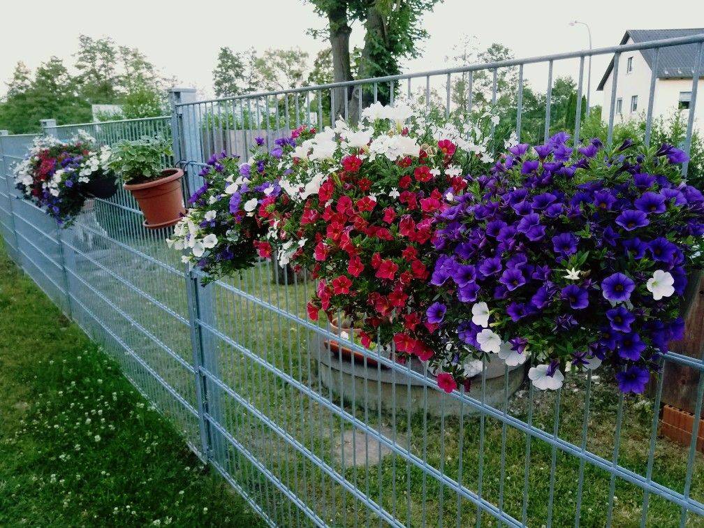 Stunning Front Garden