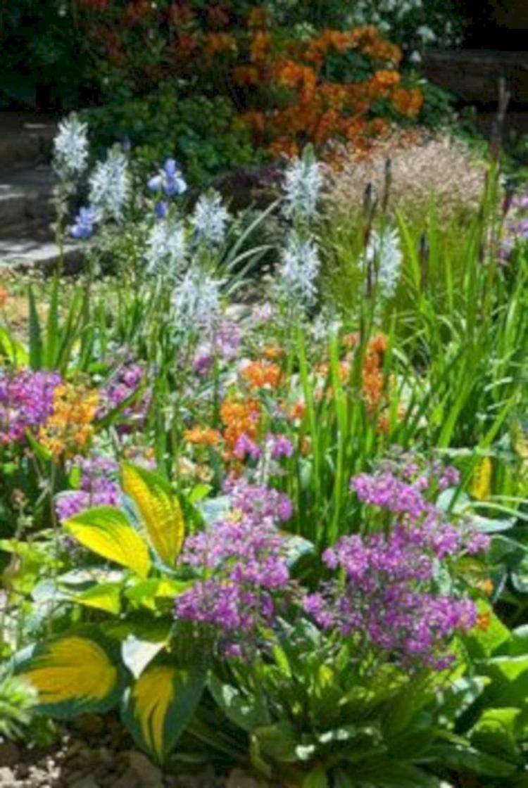 22 Iris Garden Design Ideas You Cannot Miss SharonSable