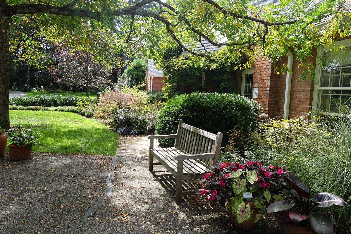 A Small Space Finegardening