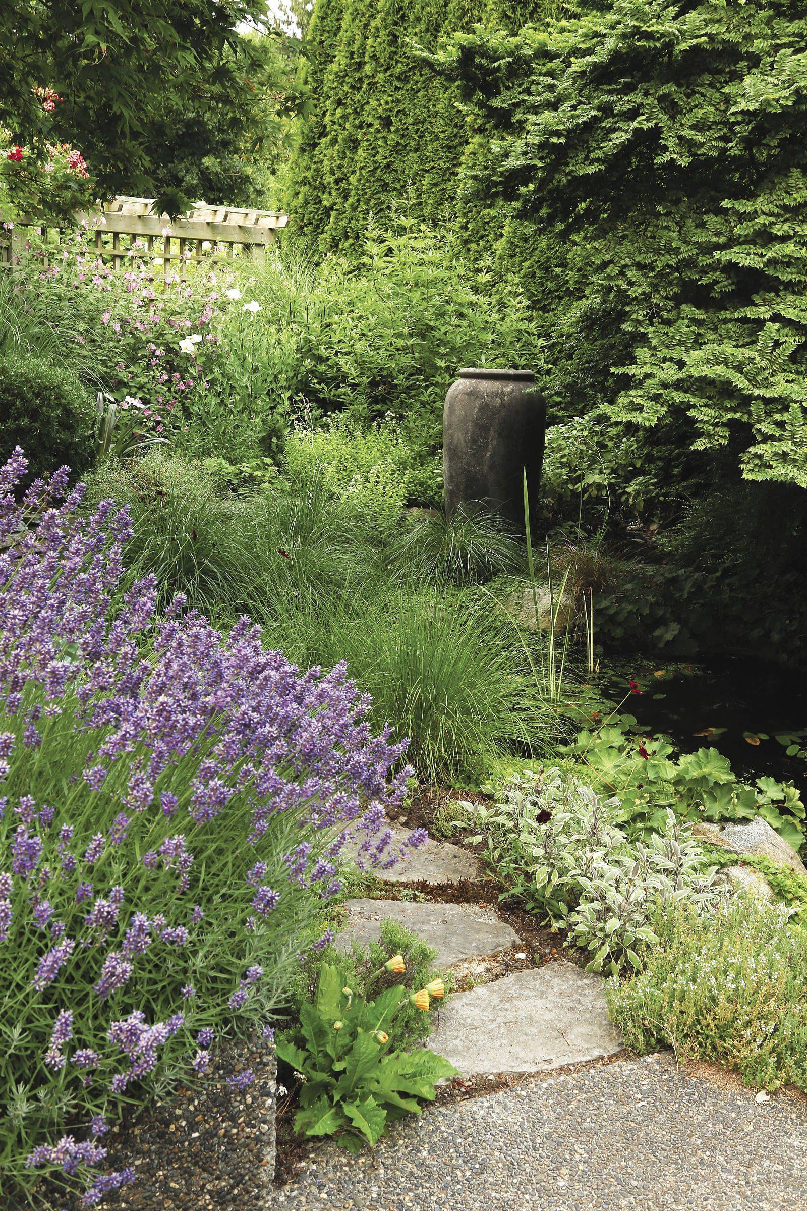 An Undisciplined Garden Finegardening