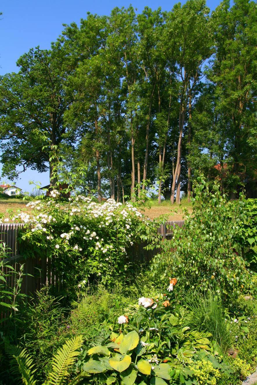 A Bavarian Garden